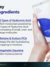 Isntree Hyaluronic Acid Aqua Gel Cream 100ml product photo