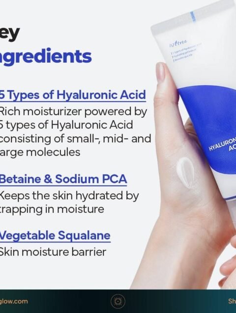 Isntree Hyaluronic Acid Aqua Gel Cream 100ml product photo