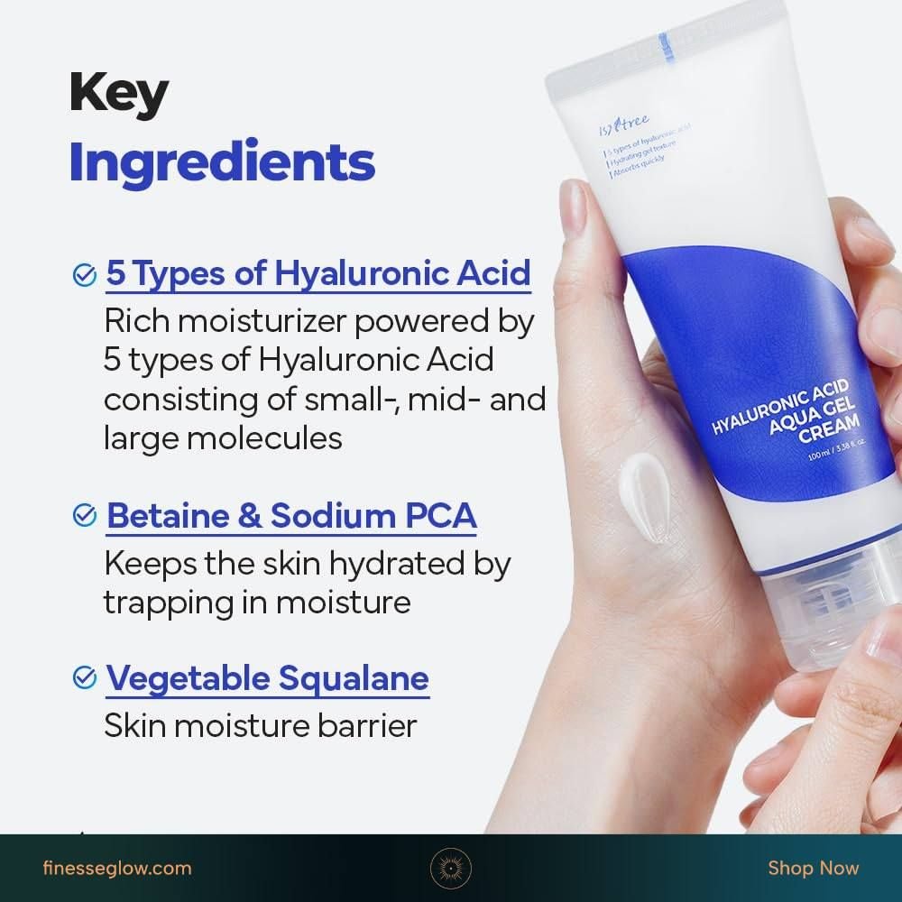 Isntree Hyaluronic Acid Aqua Gel Cream 100ml product photo